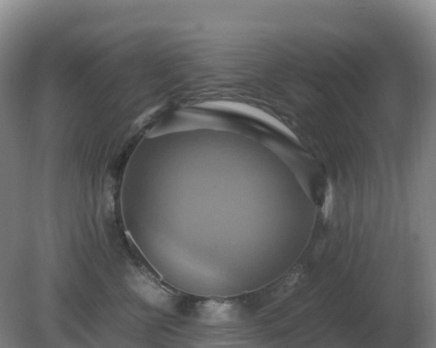 X0000081370570200701182142