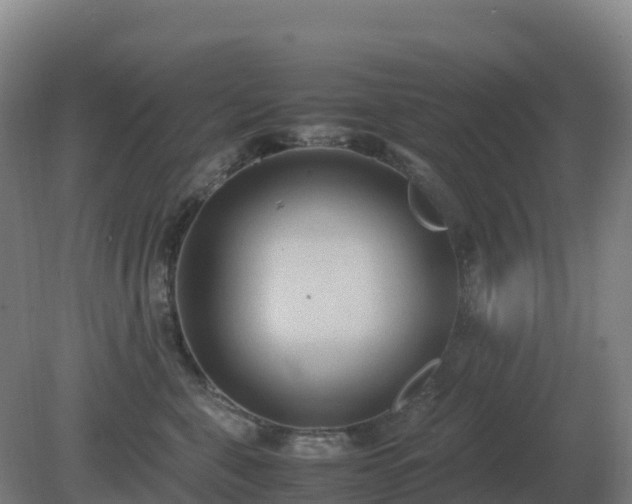 X0000081370571200701182142