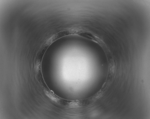 X0000081370574200701182142