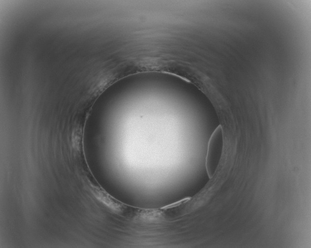 X0000081370576200701182142