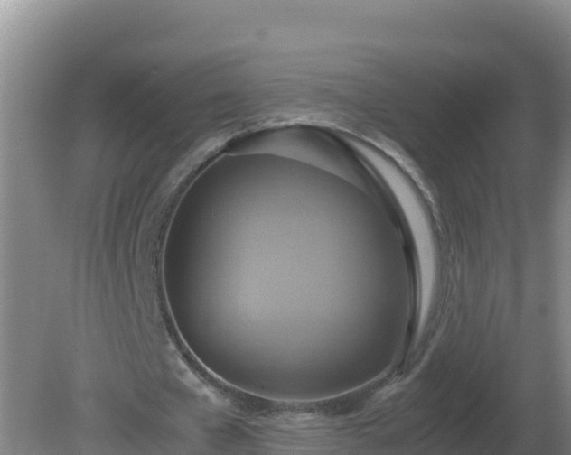 X0000081370577200701182141