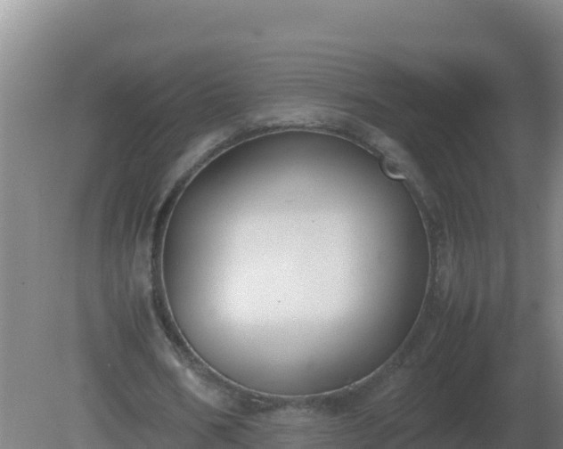 X0000081370578200701182141