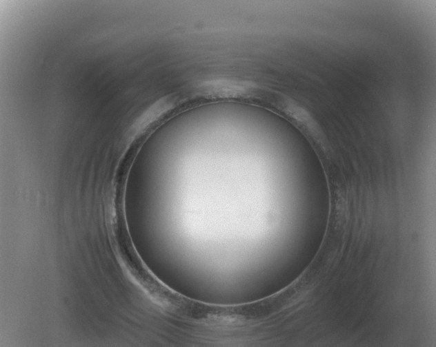 X0000081370582200701182141