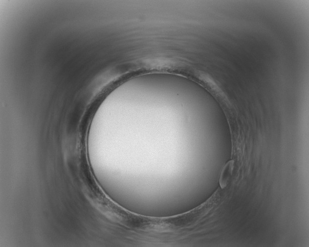X0000081370583200701182141