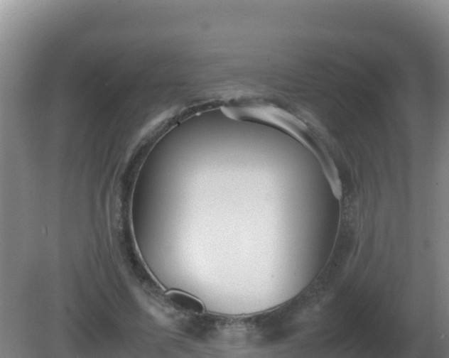 X0000081370587200701182141
