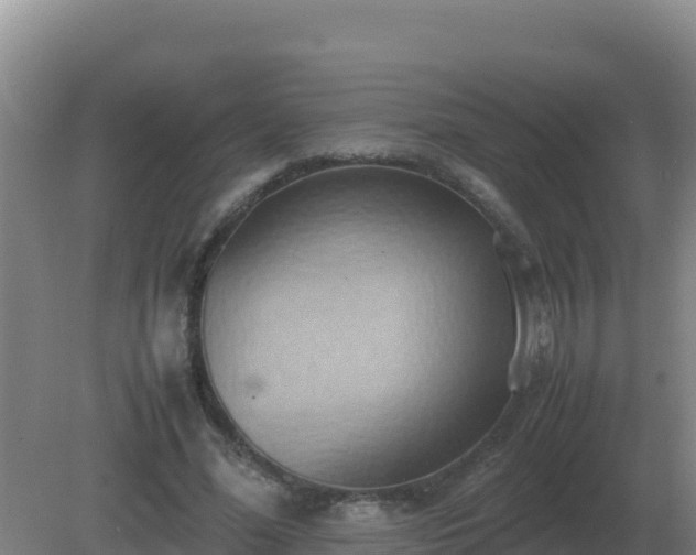 X0000081370588200701182141