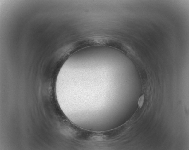 X0000081370595200701182141