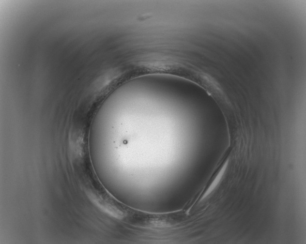 X0000081370596200701182141