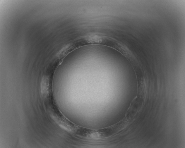 X0000081370600200701182141