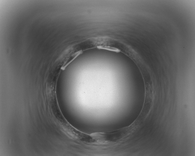 X0000081370601200701182141