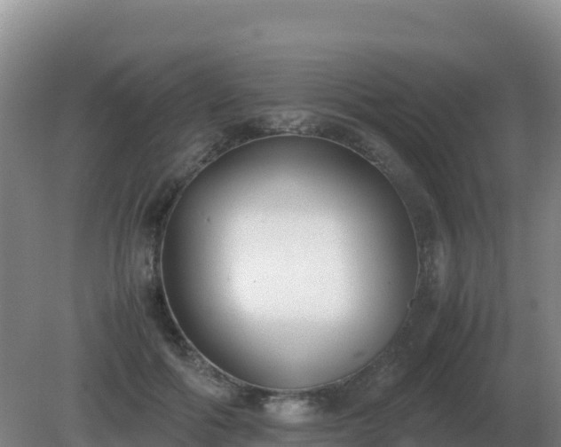 X0000081370602200701182141