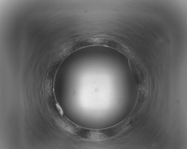 X0000081370605200701182141