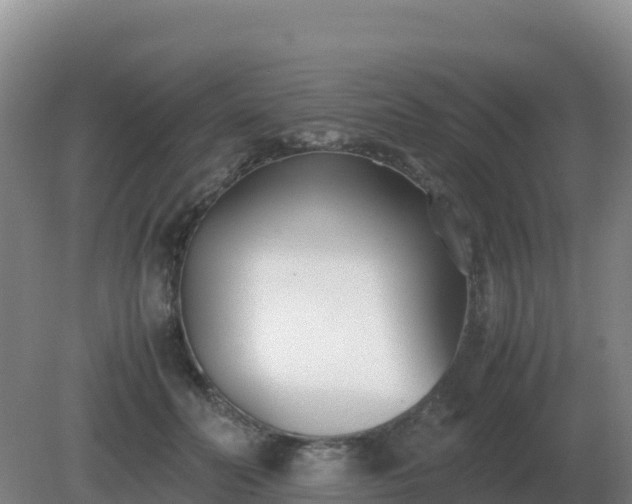 X0000081370606200701182141