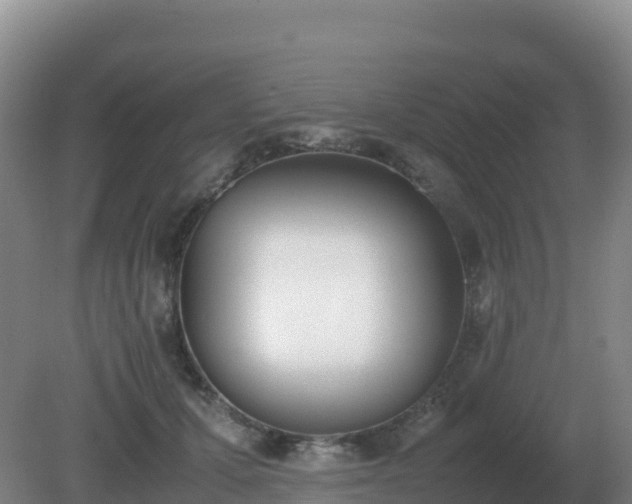 X0000081370607200701182141