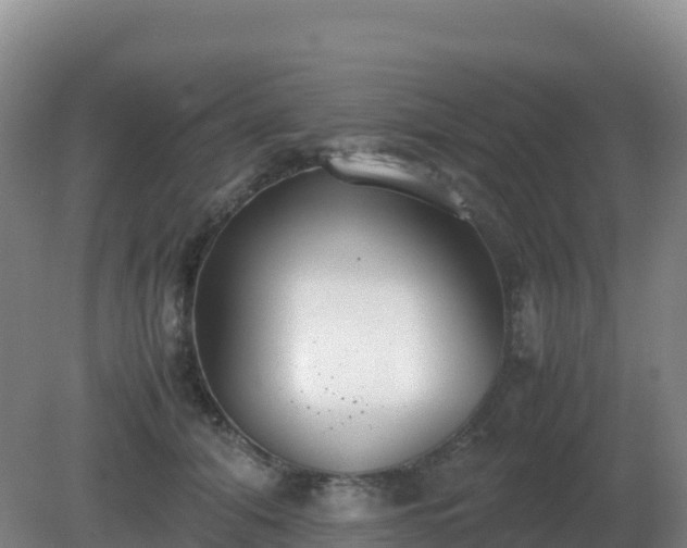 X0000081370608200701182141