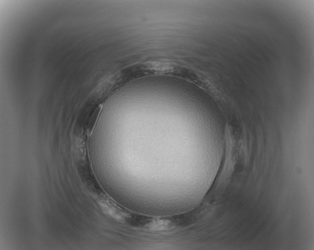 X0000081370609200701182141