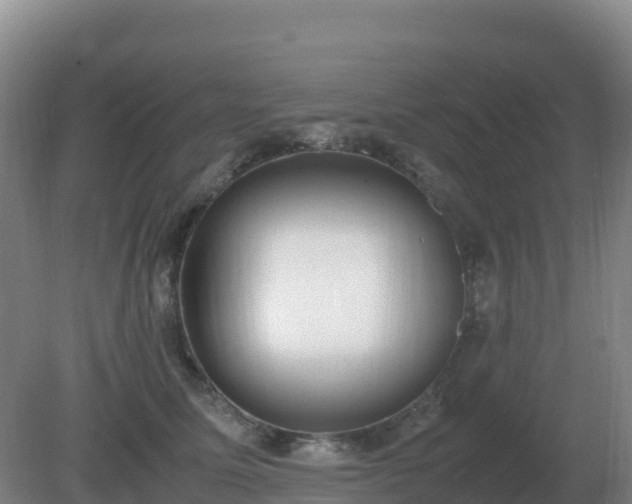 X0000081370611200701182140
