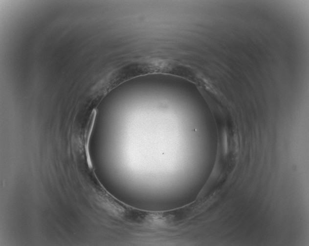 X0000081370613200701182140
