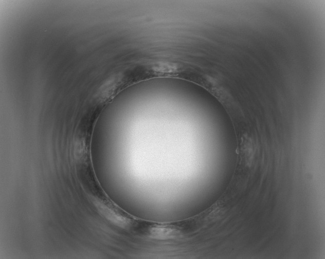 X0000081370614200701182140