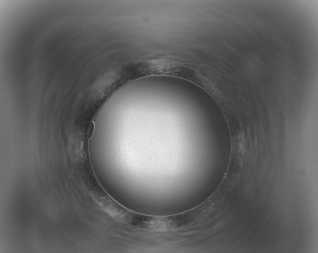X0000081370615200701182140