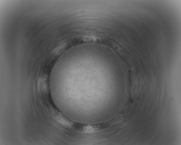 X0000081370616200701182140