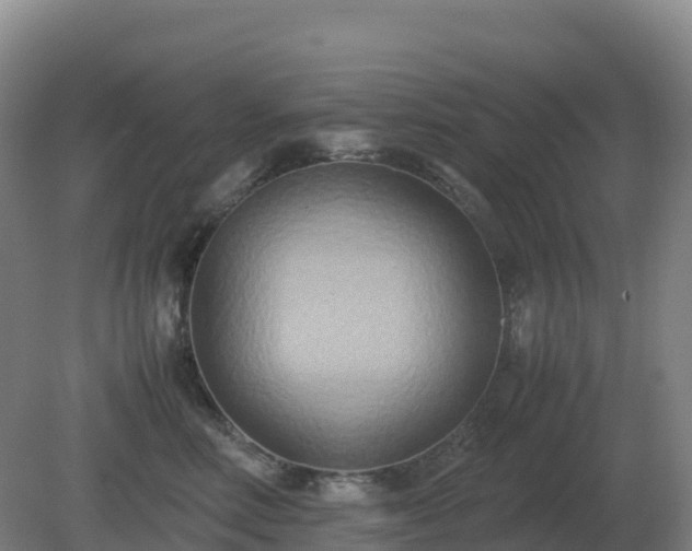 X0000081370618200701182140