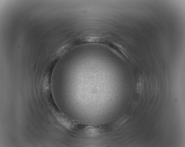 X0000081370620200701182140