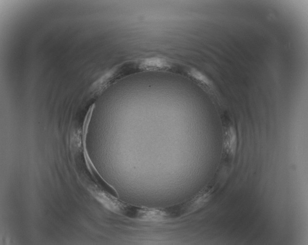 X0000081370621200701182140