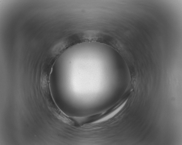 X0000081370623200701182140