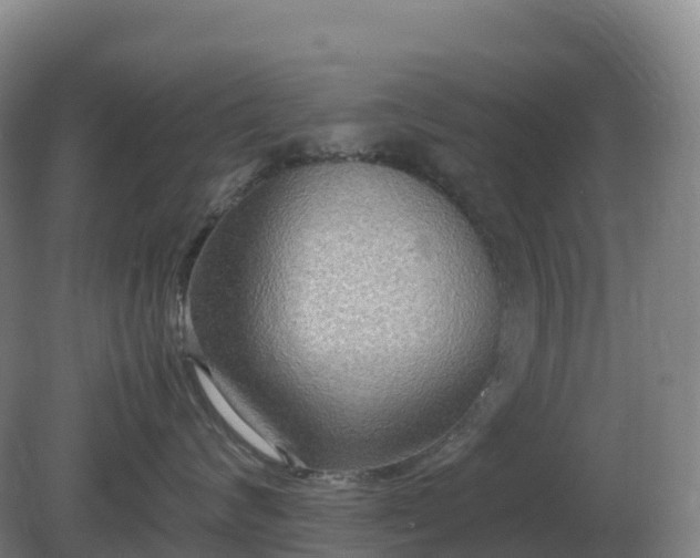 X0000081370624200701182140