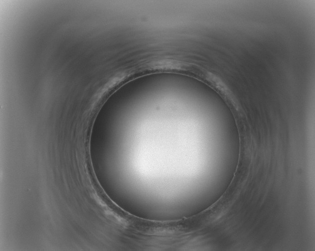 X0000081370625200701182139