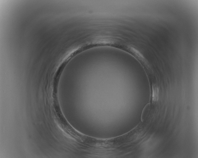 X0000081370627200701182139