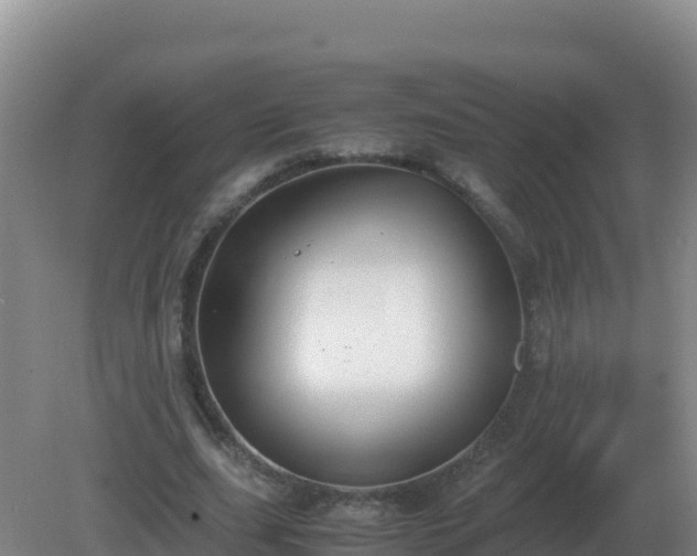 X0000081370631200701182140