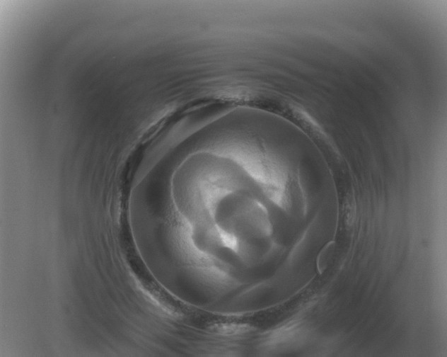 X0000081370637200701182140