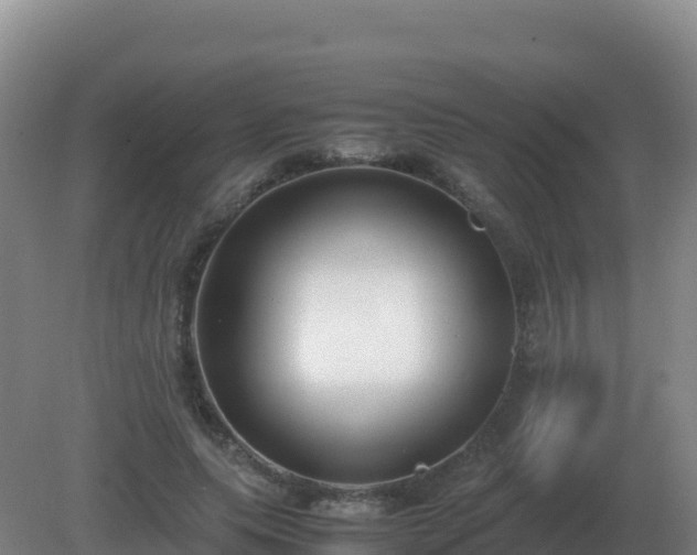X0000081370639200701182140