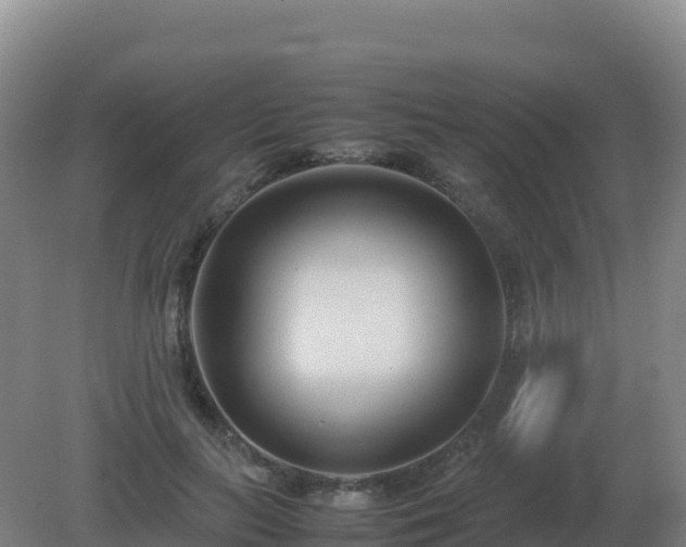 X0000081370647200701182140