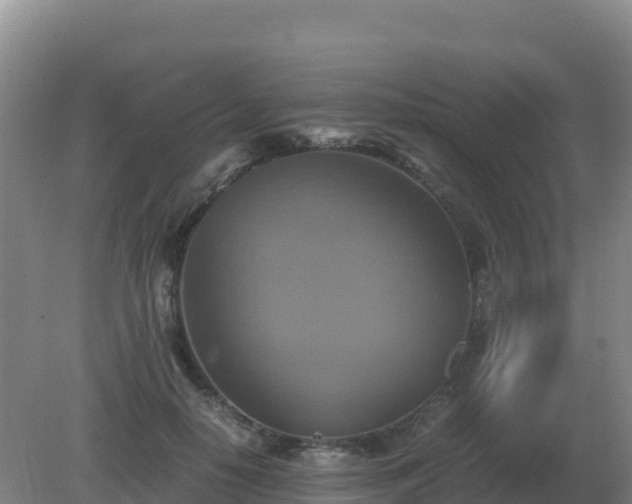 X0000081370650200701182140