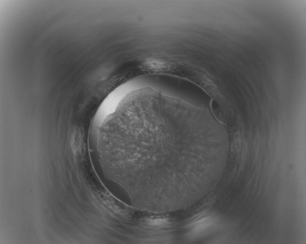 X0000081370651200701182140