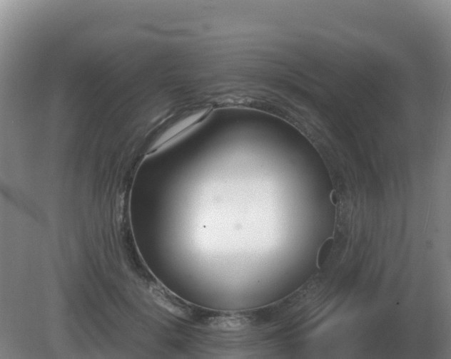 X0000081370652200701182140