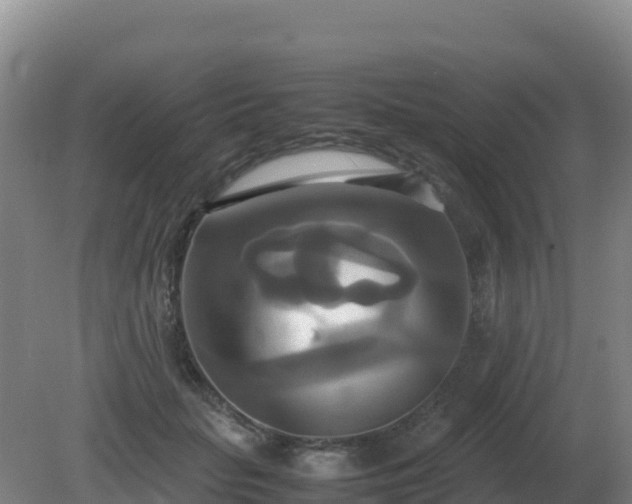X0000081370653200701182140