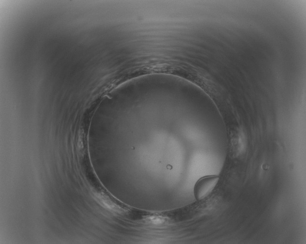 X0000081370654200701182140