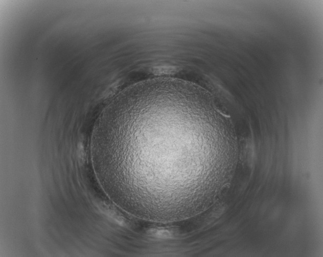 X0000081370655200701182140