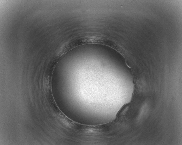 X0000081370657200701182140