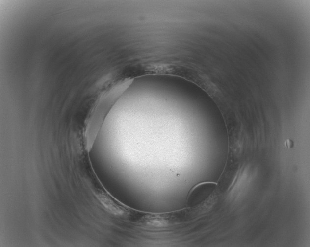 X0000081370658200701182140