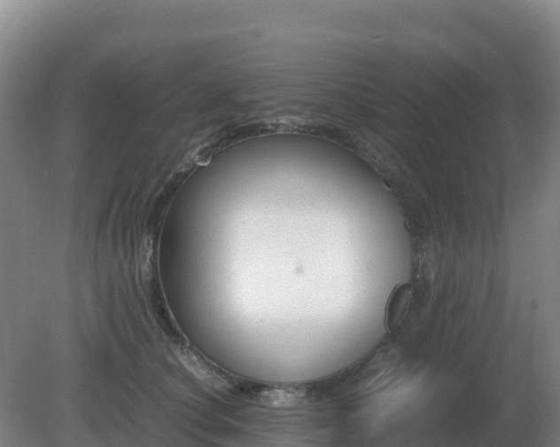 X0000081370660200701182140