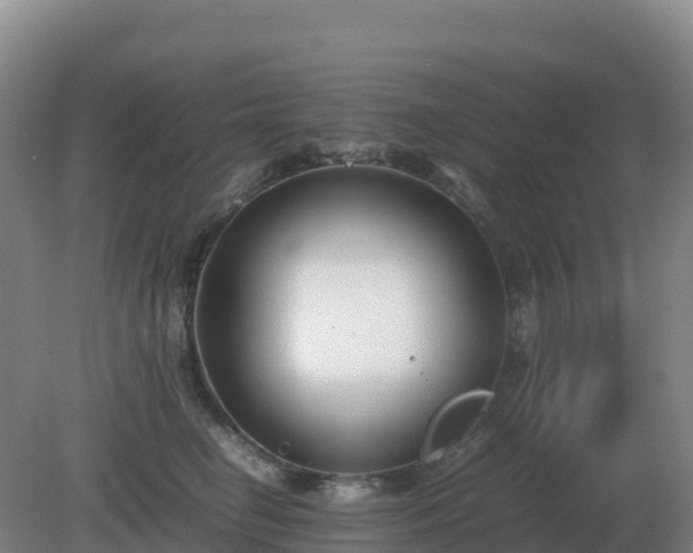 X0000081370662200701182140
