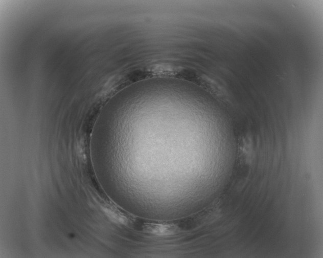 X0000081370663200701182140