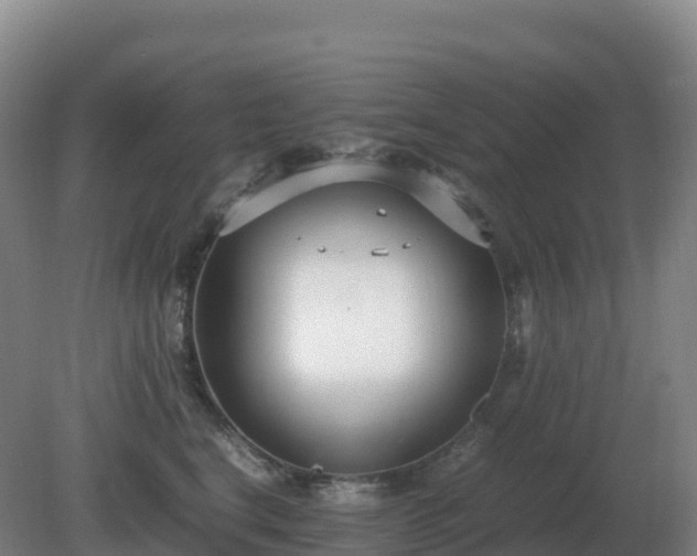 X0000081370664200701182140