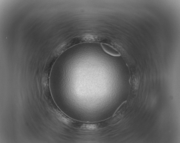 X0000081370665200701182140