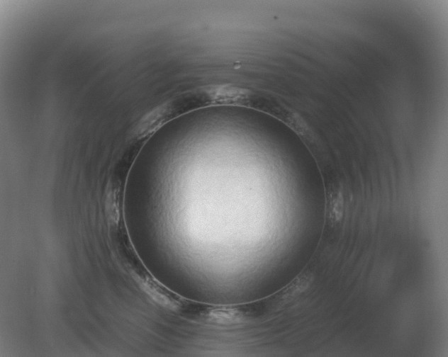 X0000081370666200701182140
